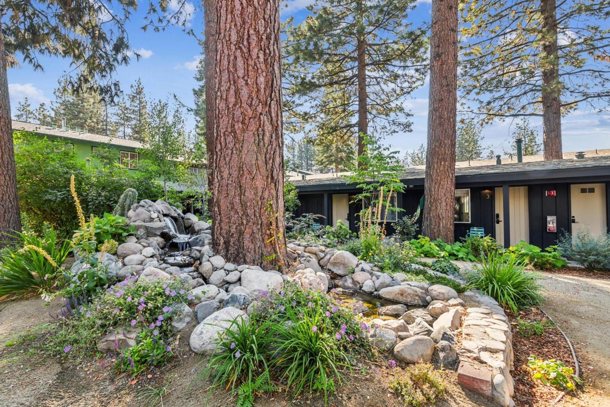 South Chalet-boutique Suite-minutes To Heavenly & Tahoe *